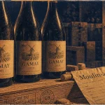 Grands crus du Beaujolais : bouteilles de Gamay en cave viticole