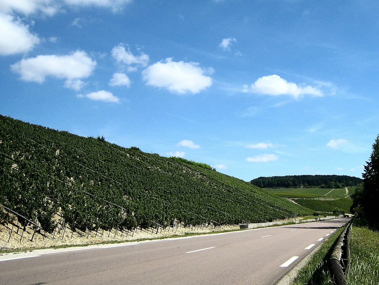 Les grands crus Bougros et Vaudésir.