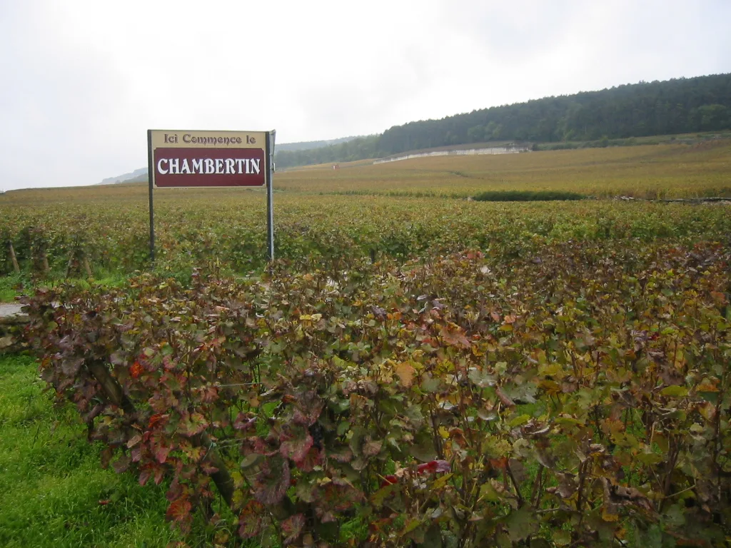 Le Chambertin.