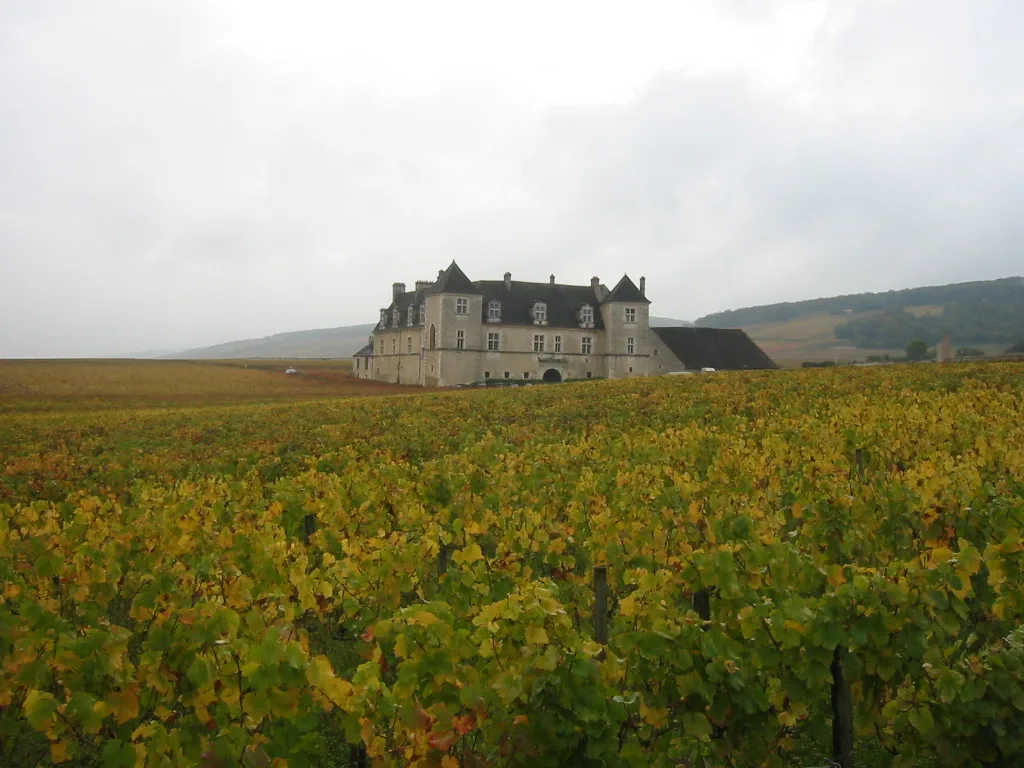 Le clos de Vougeot et son château.