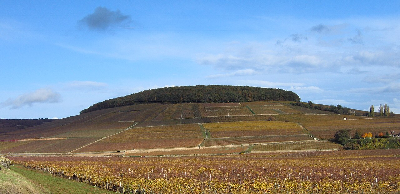 La colline de Corton, vue du sud-ouest, avec les vignes sur les pentes.