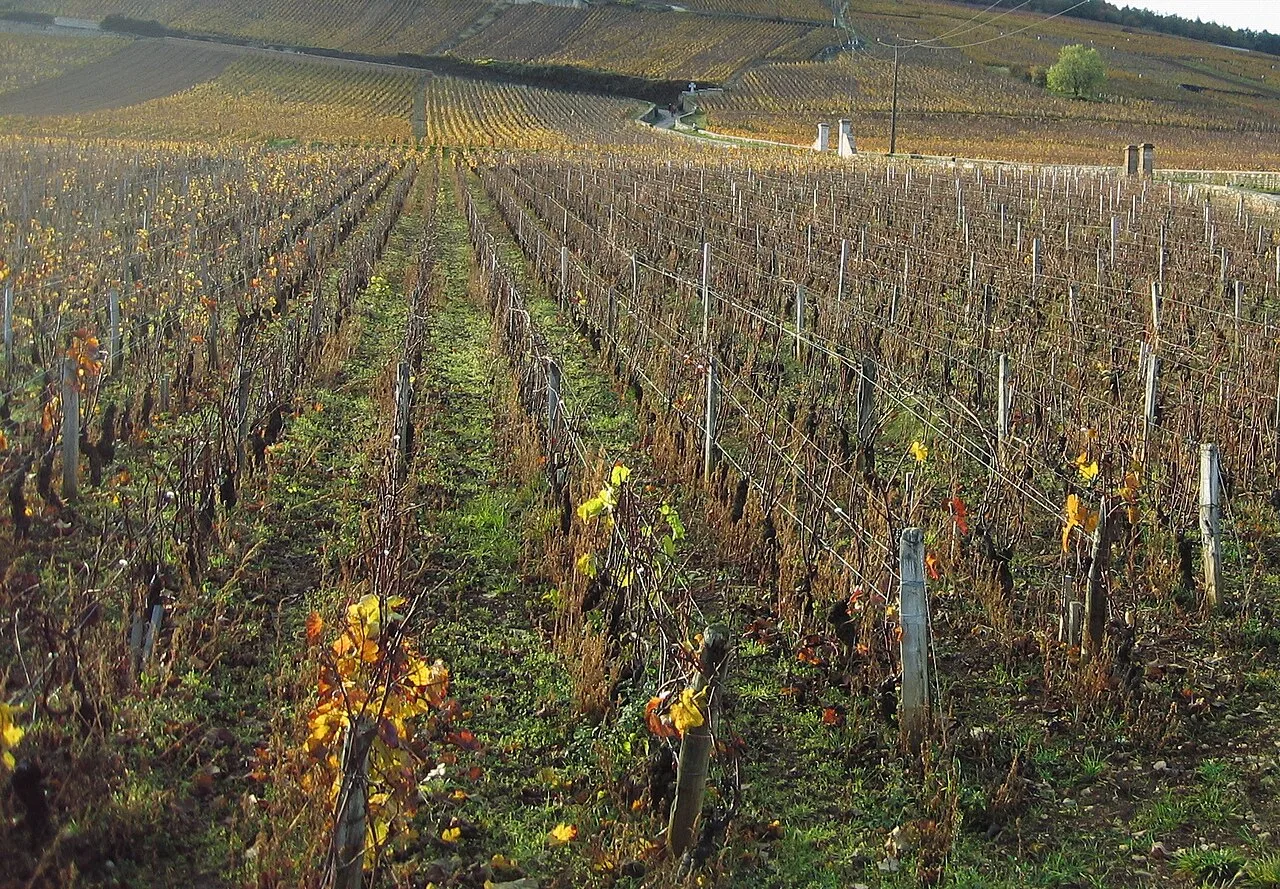 La Grande Rue, à l'automne.
