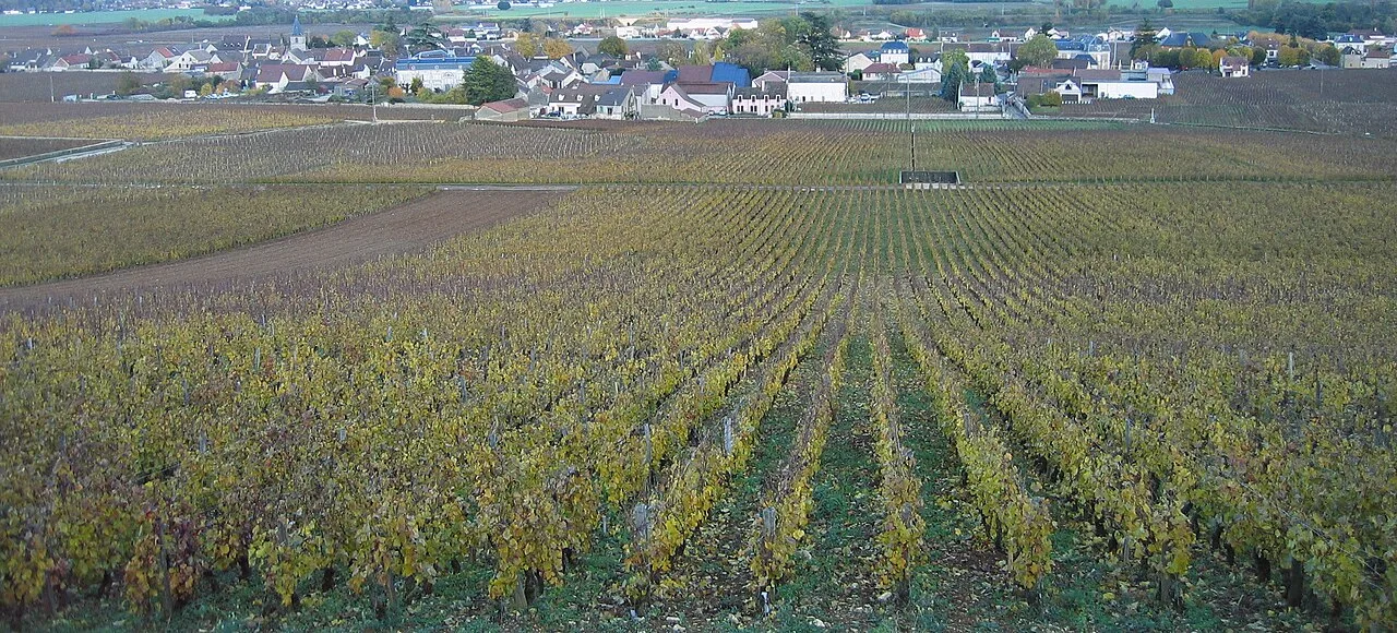 La Tâche, en automne.