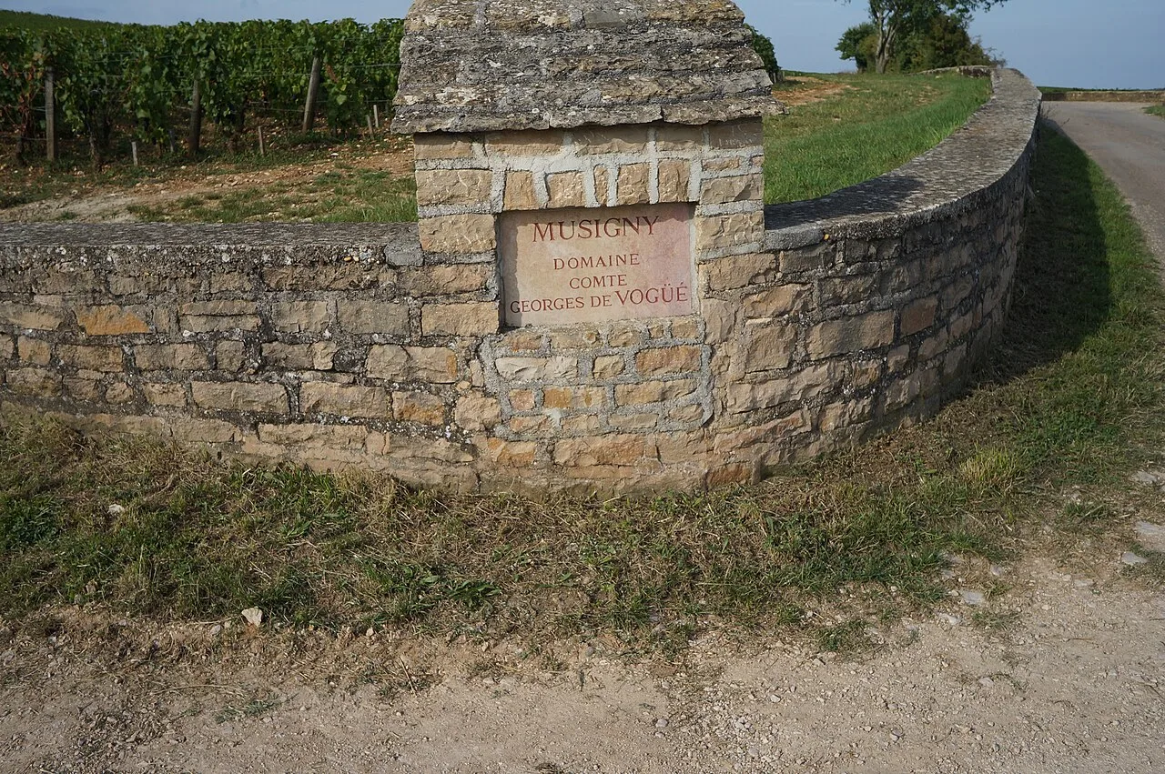 Le mur du vignoble de Musigny, domaine Comte Georges de Vogüé.