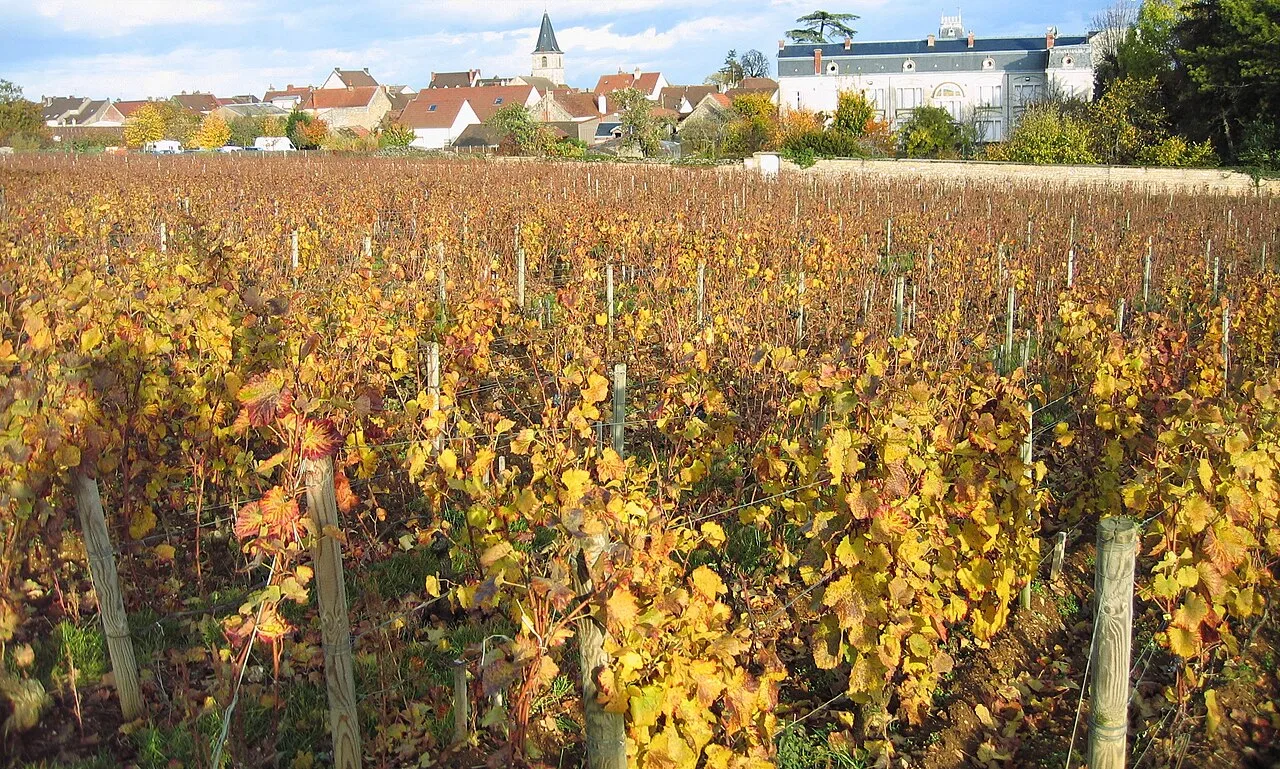 La Romanée Saint-Vivant, en automne.