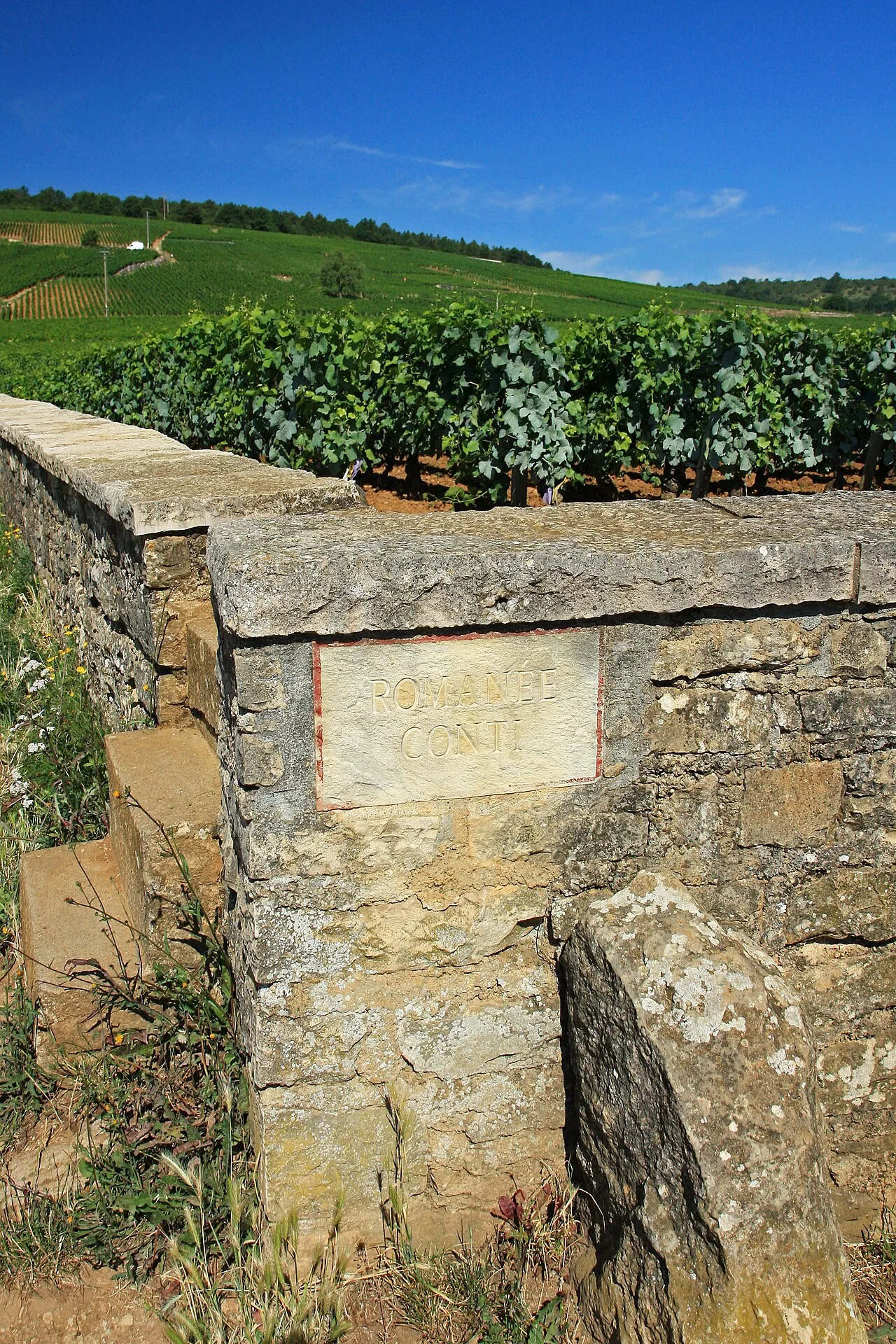 Le vignoble de la Romanée-Conti.